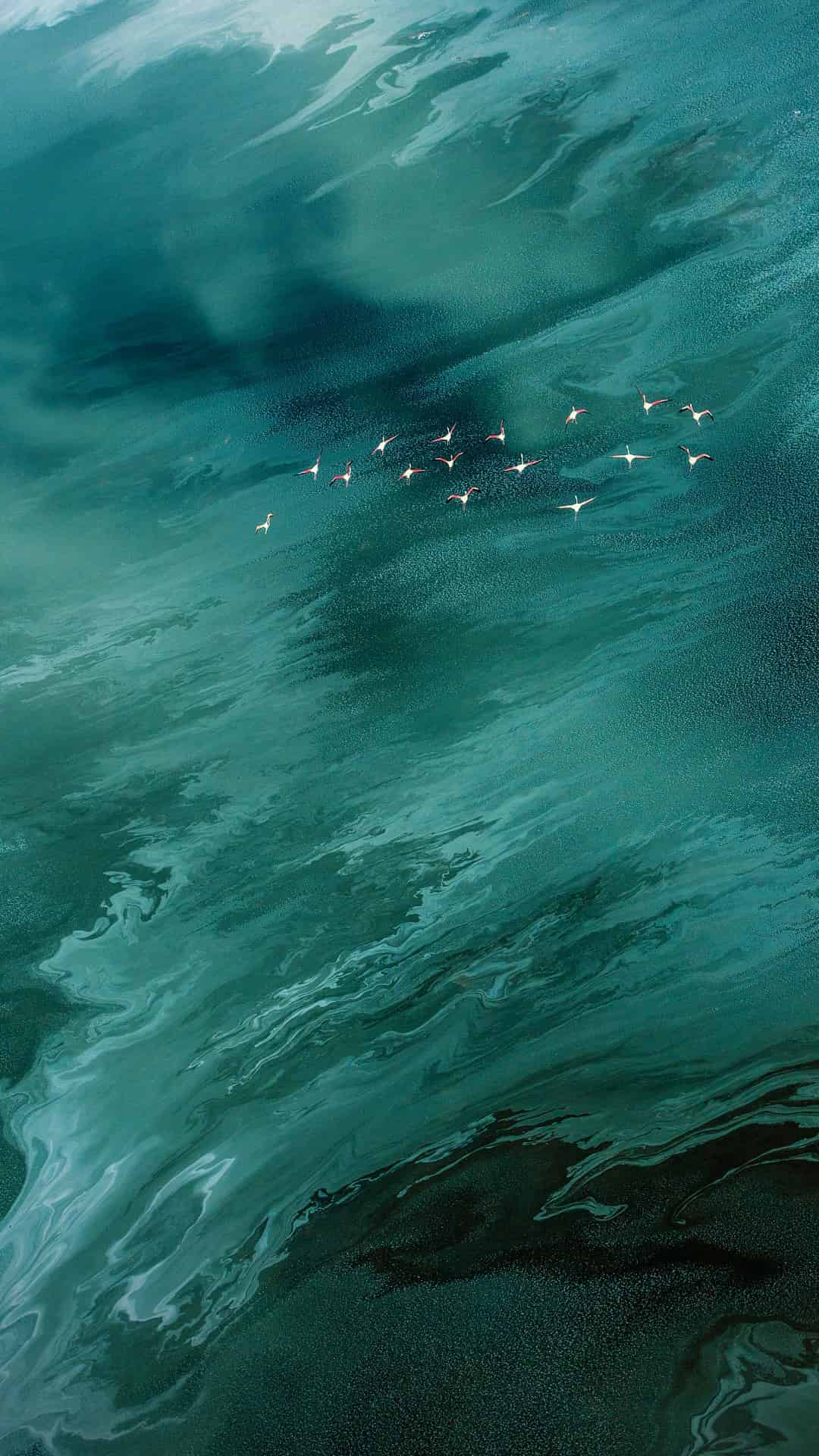 今日安卓壁纸 006