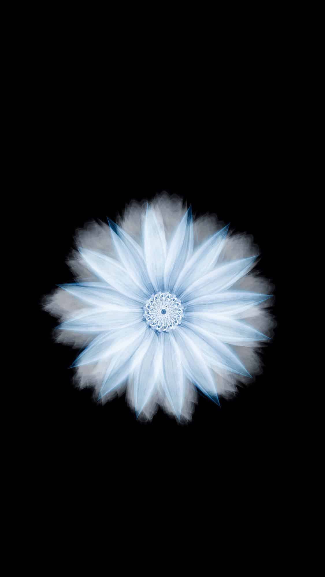 今日安卓壁纸 007