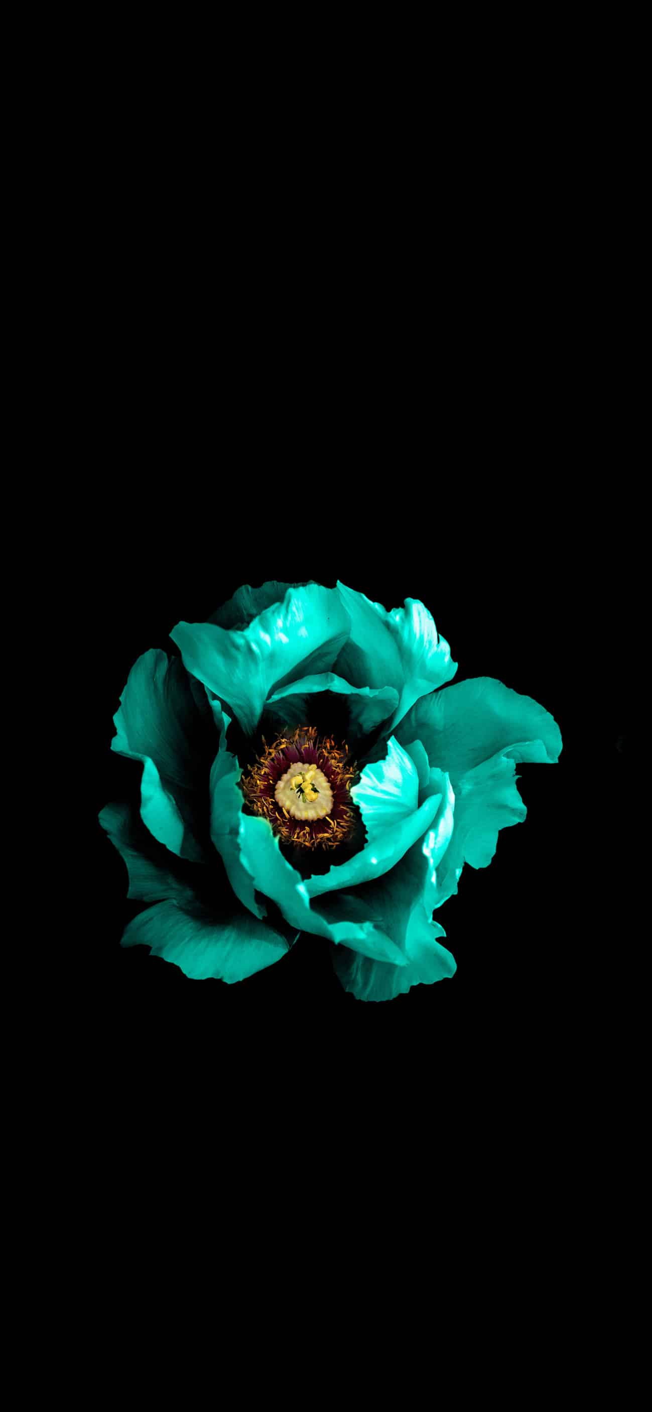 今日安卓壁纸 009