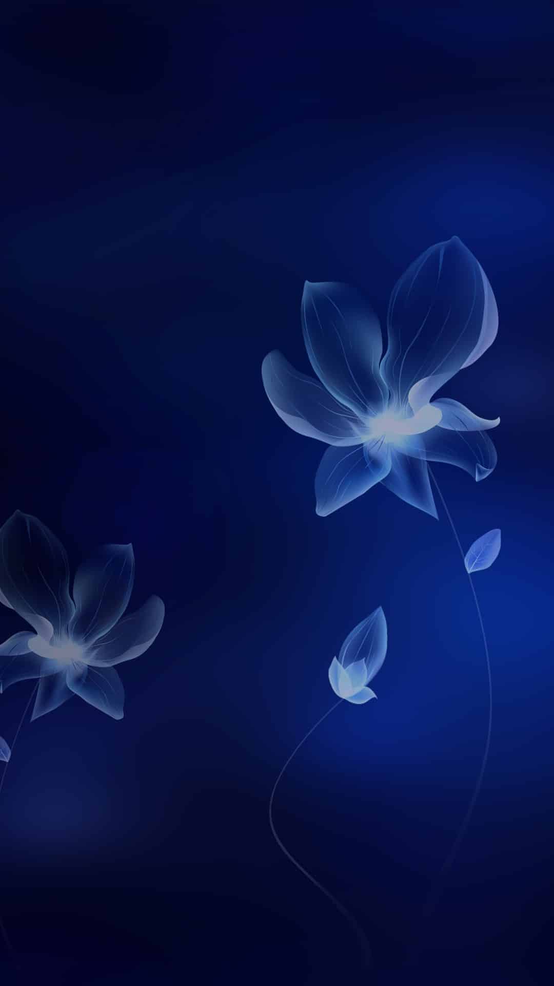 今日安卓壁纸 013