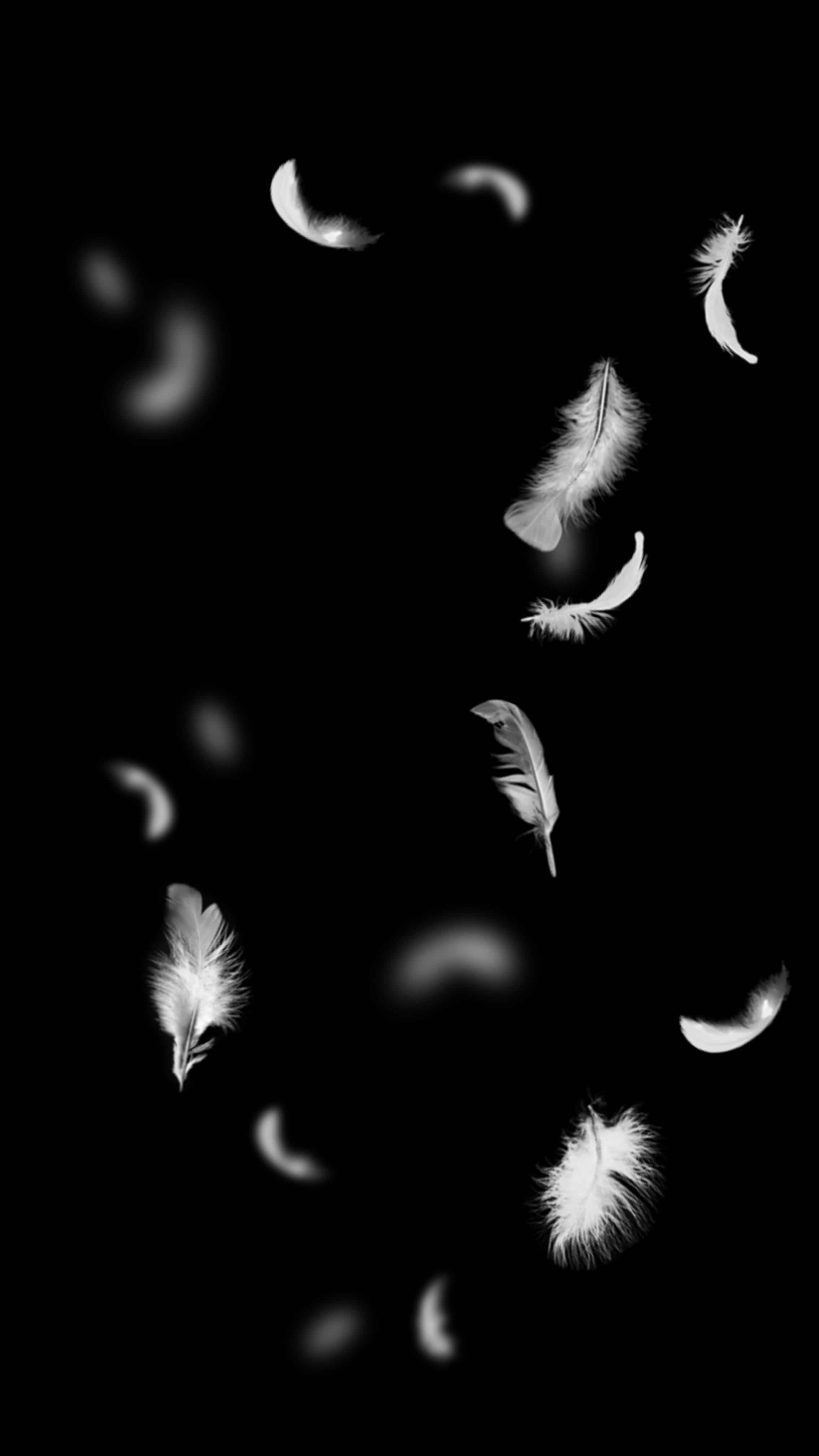 今日安卓壁纸 024