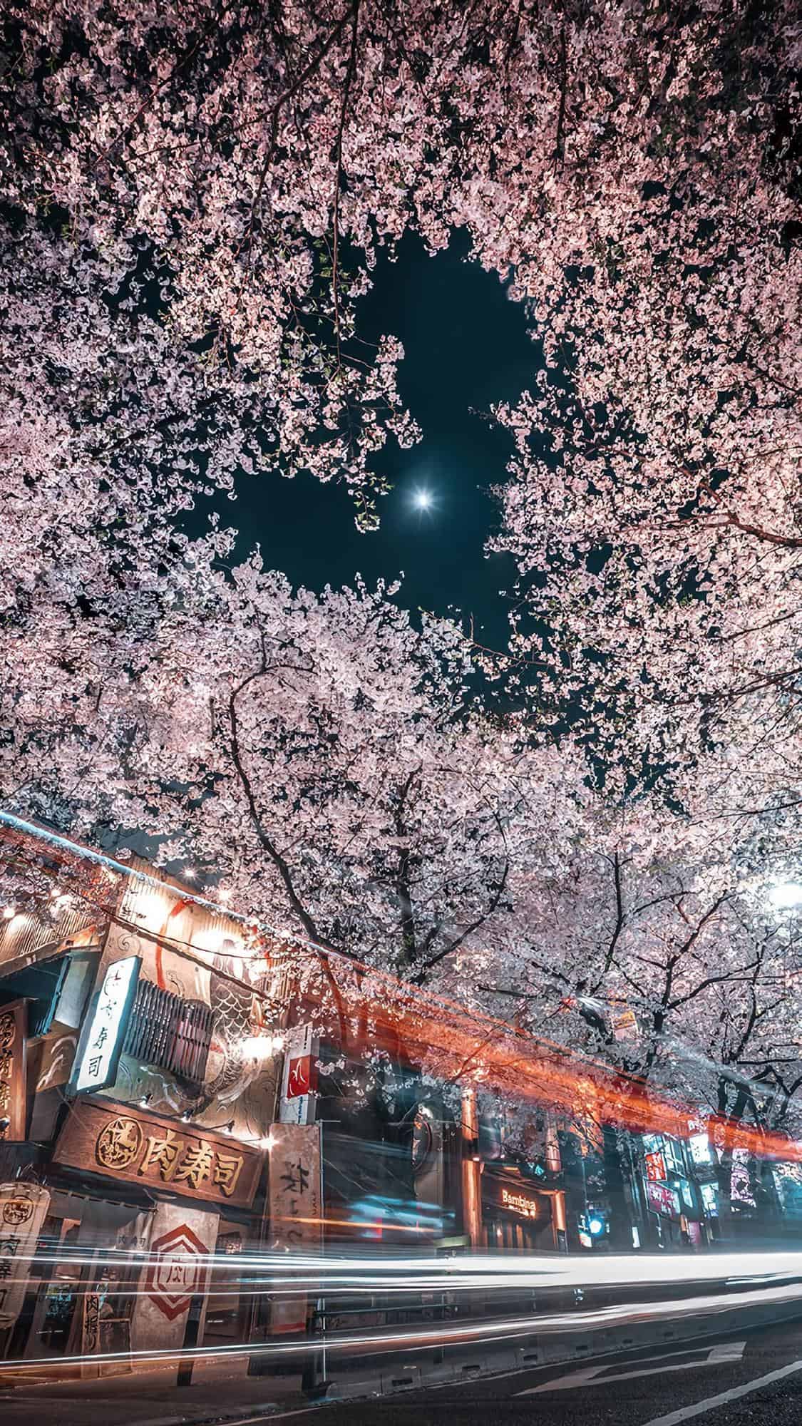 今日城市壁纸 001