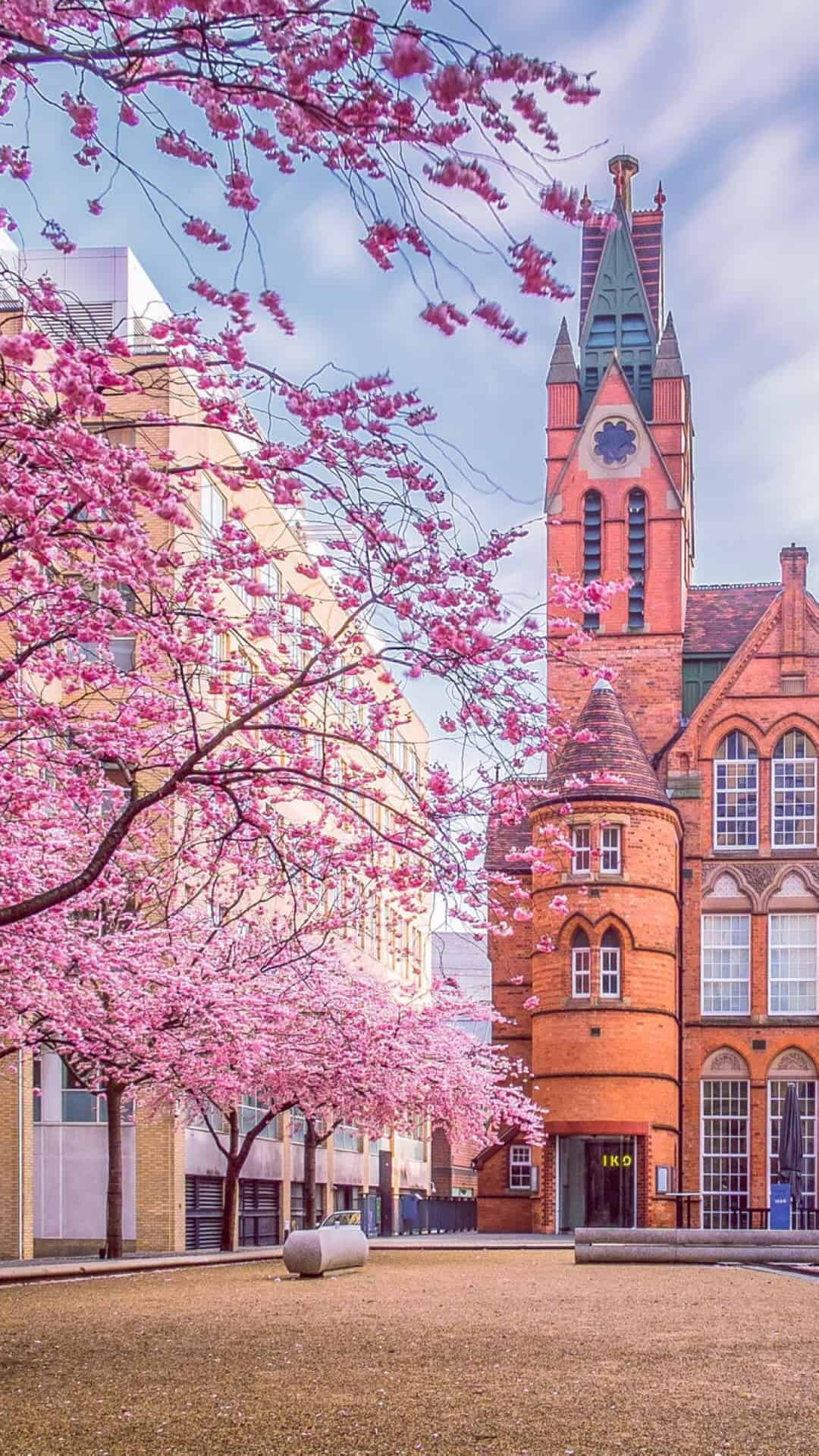 今日城市壁纸 002