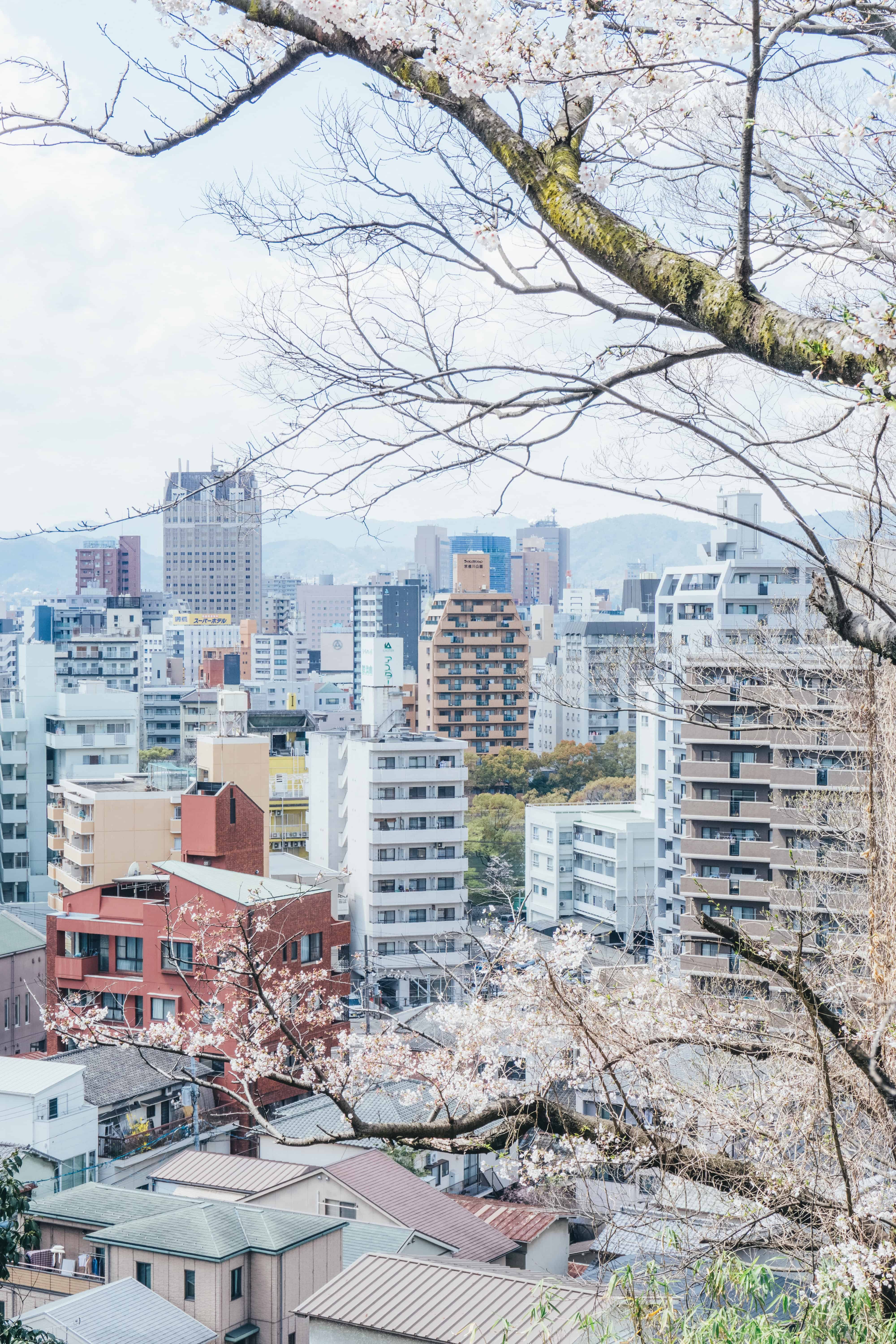 今日城市壁纸 006