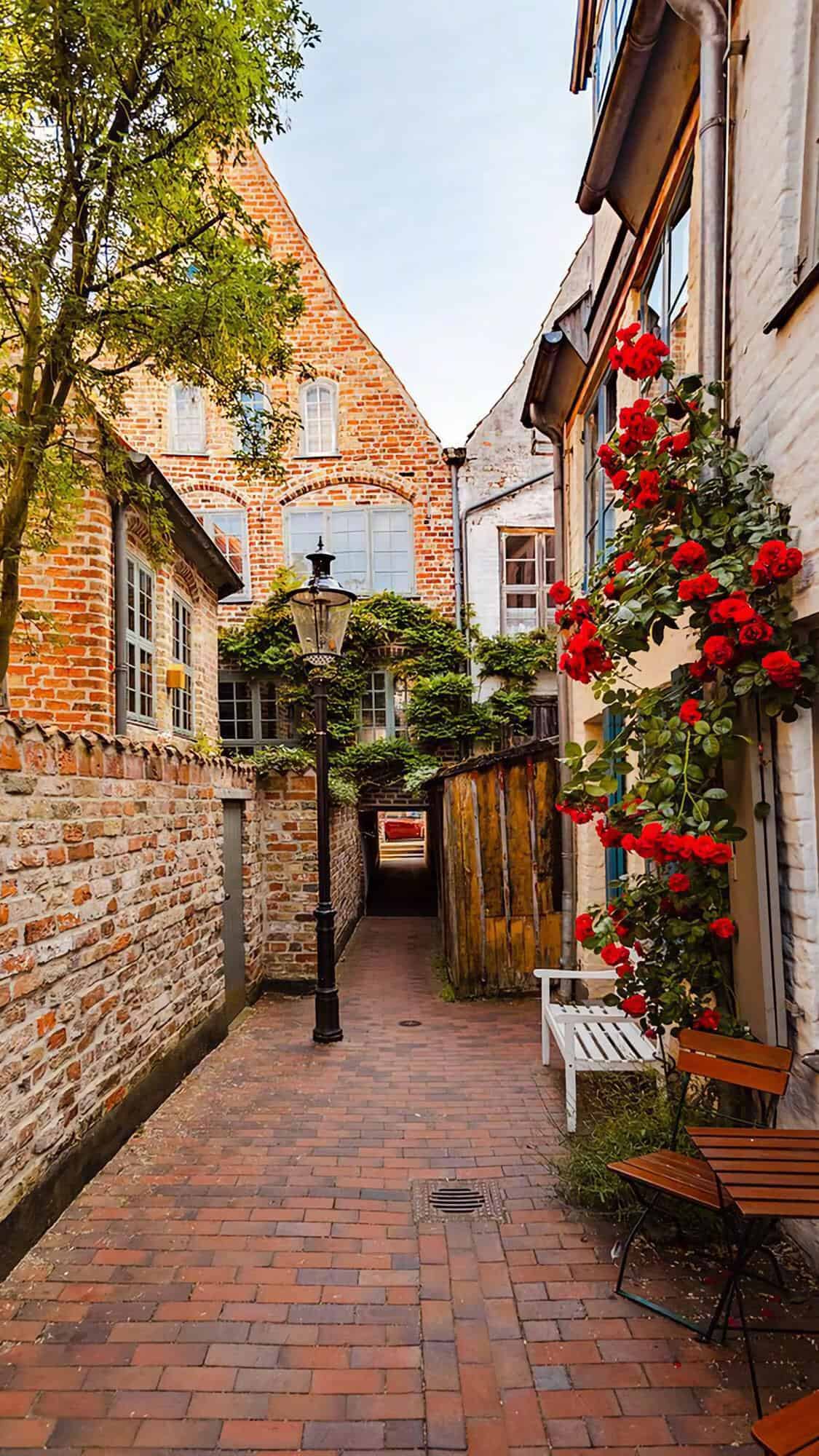 今日城市壁纸 010