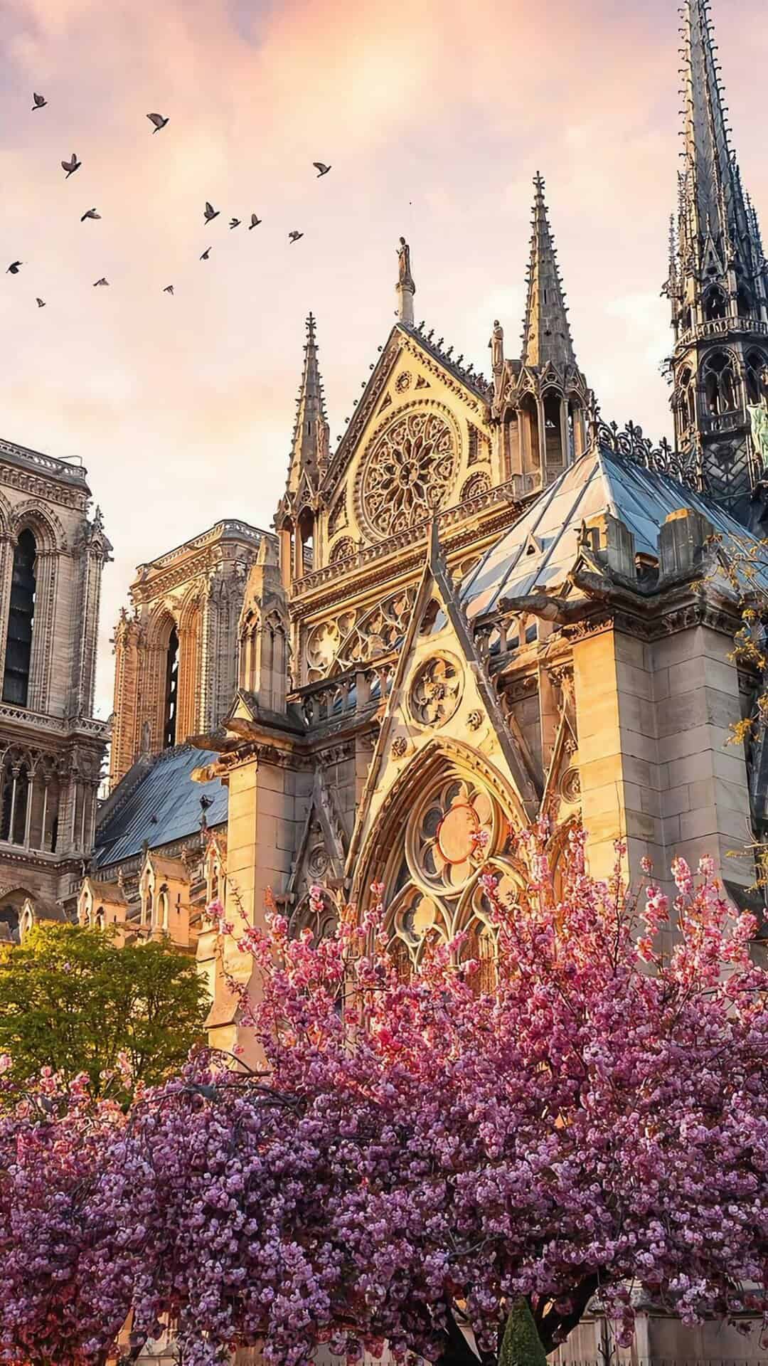 今日城市壁纸 011