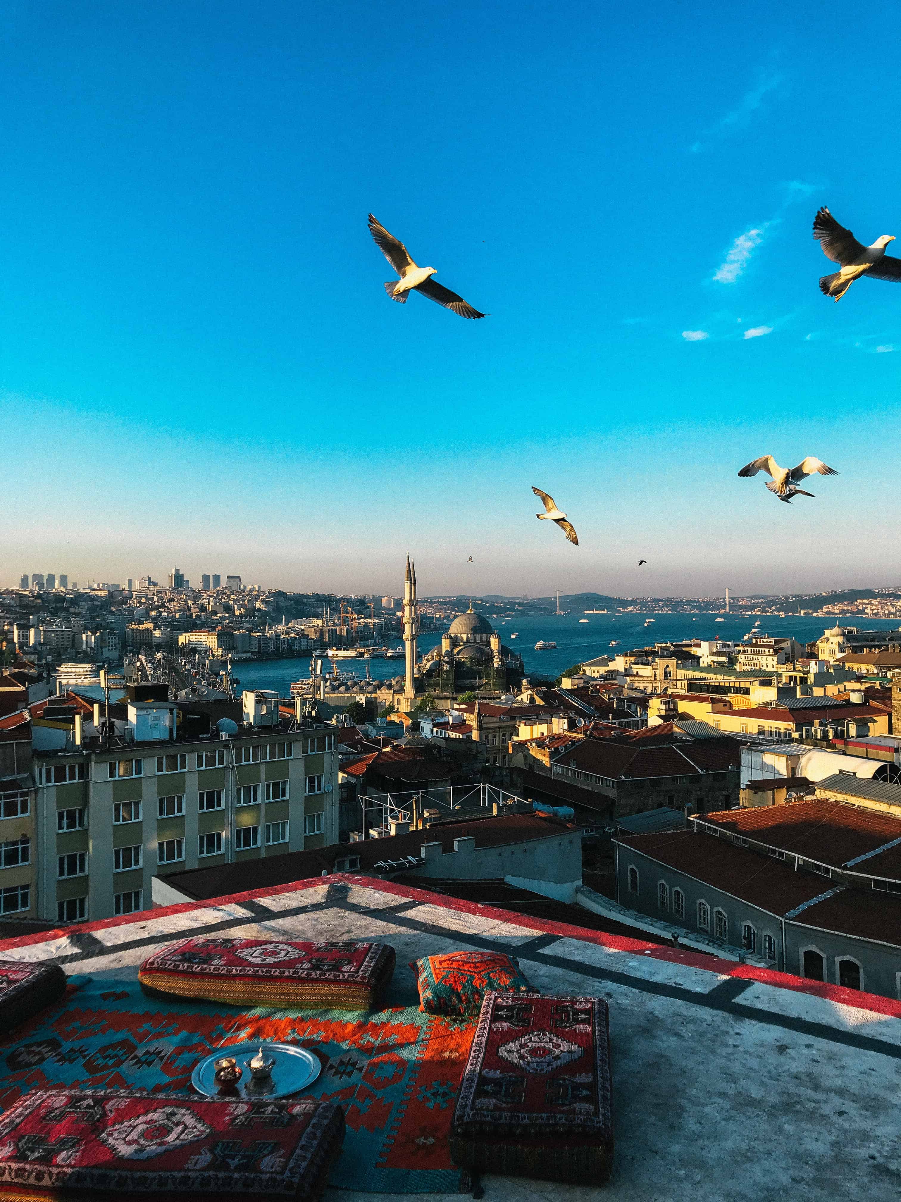 今日城市壁纸 013