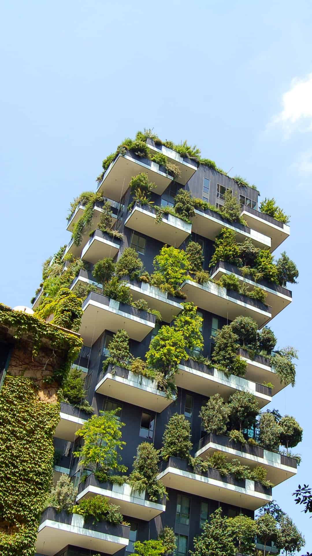 今日城市壁纸 021