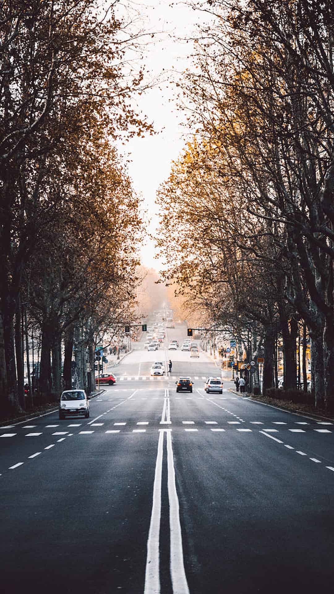 今日城市壁纸 021