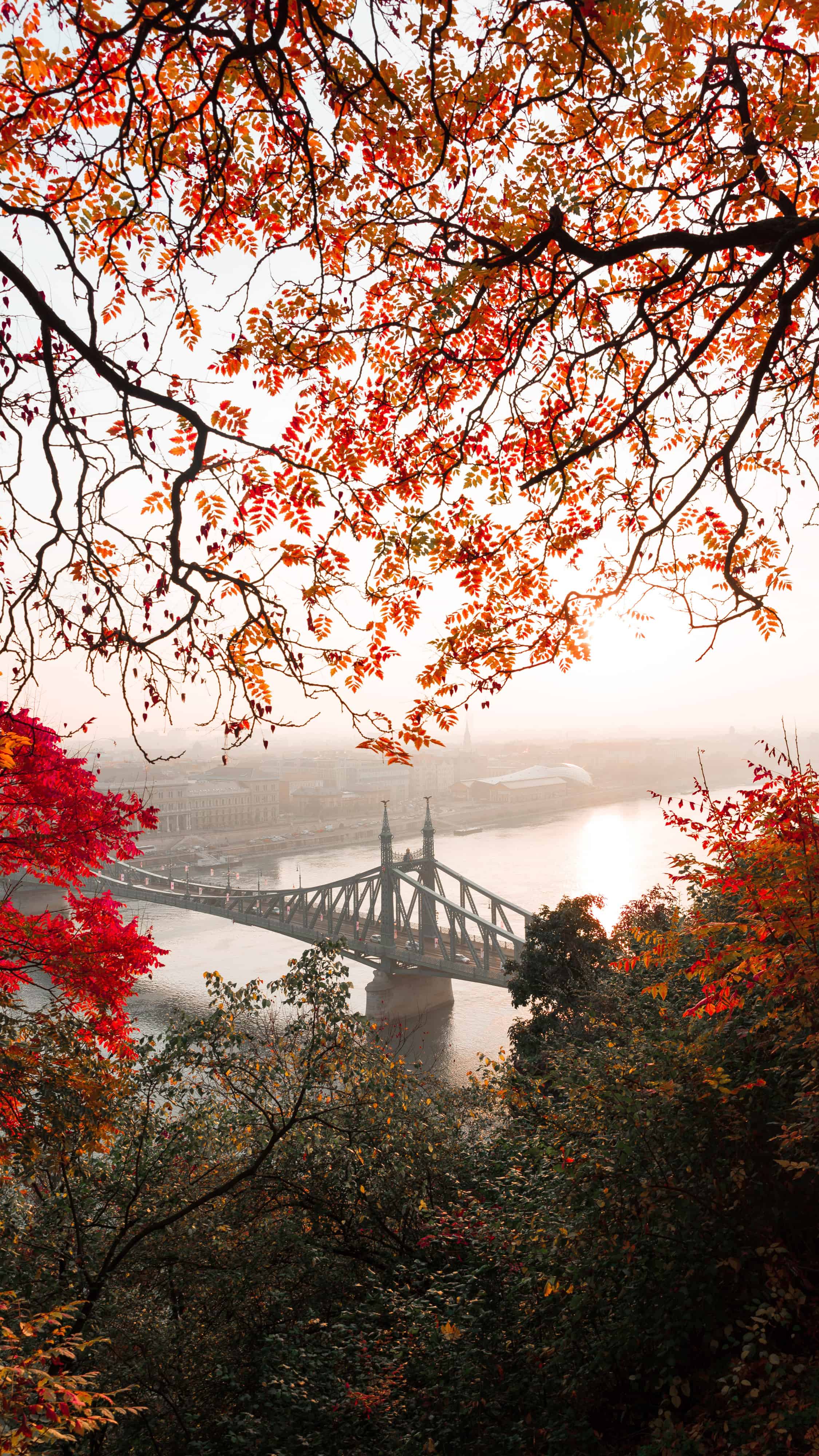 今日城市壁纸 023