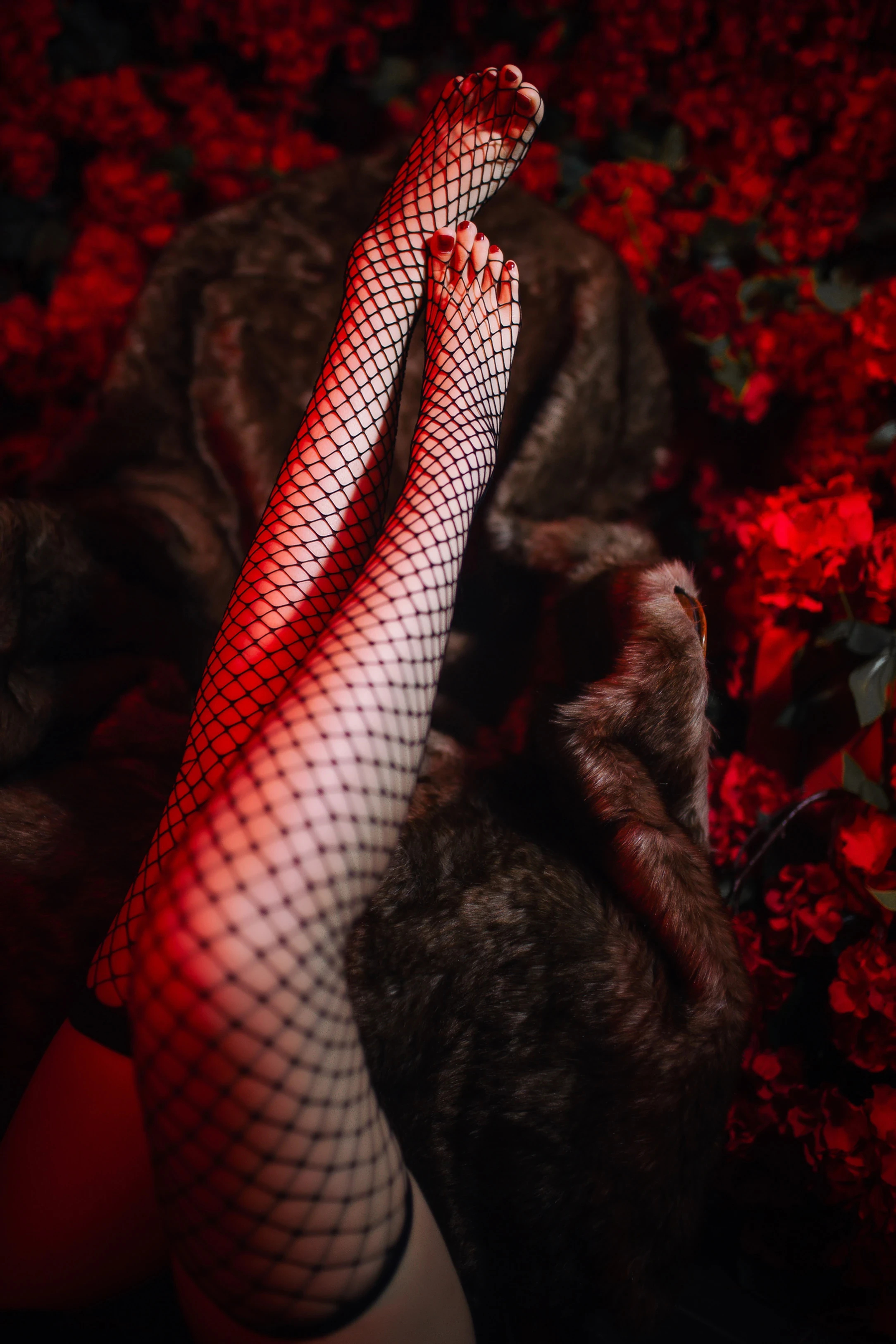 今日小姐姐壁纸 022