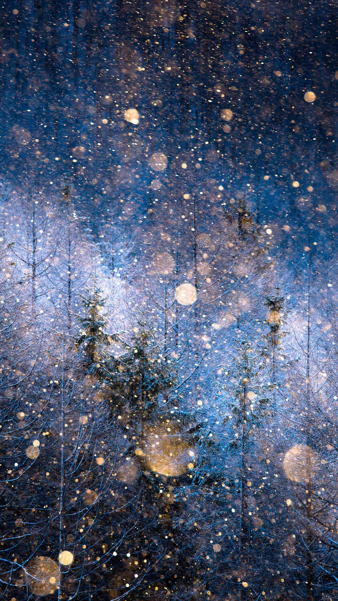 今日iPhone壁纸 002