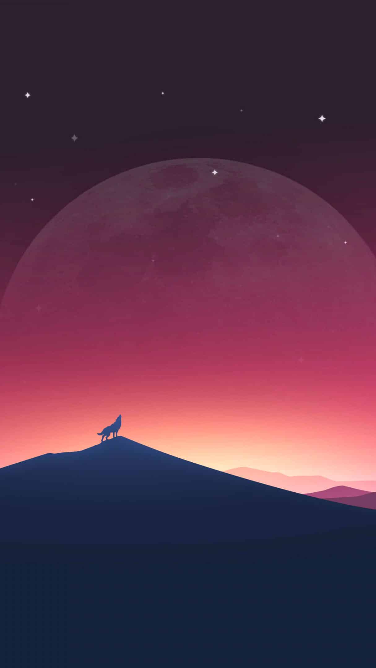 今日iPhone壁纸 004