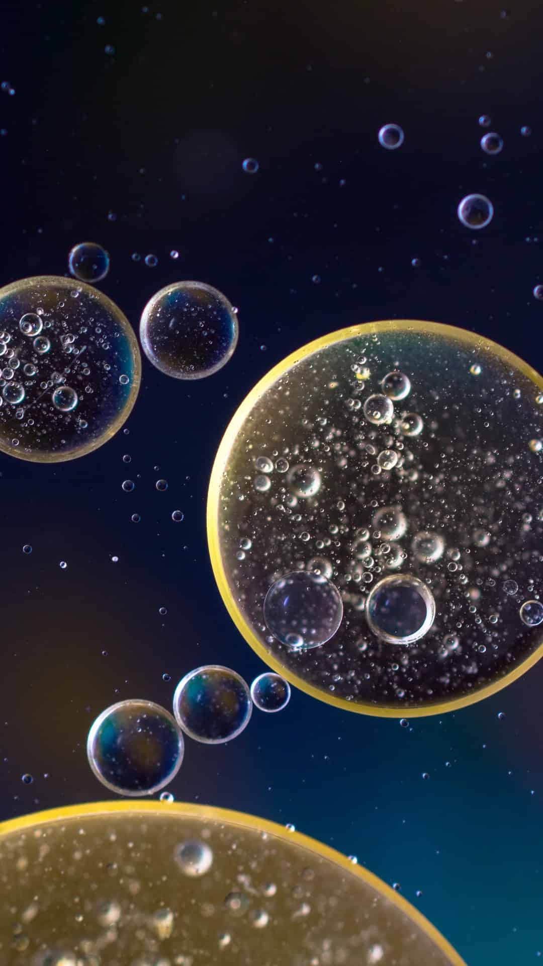 今日iPhone壁纸 010