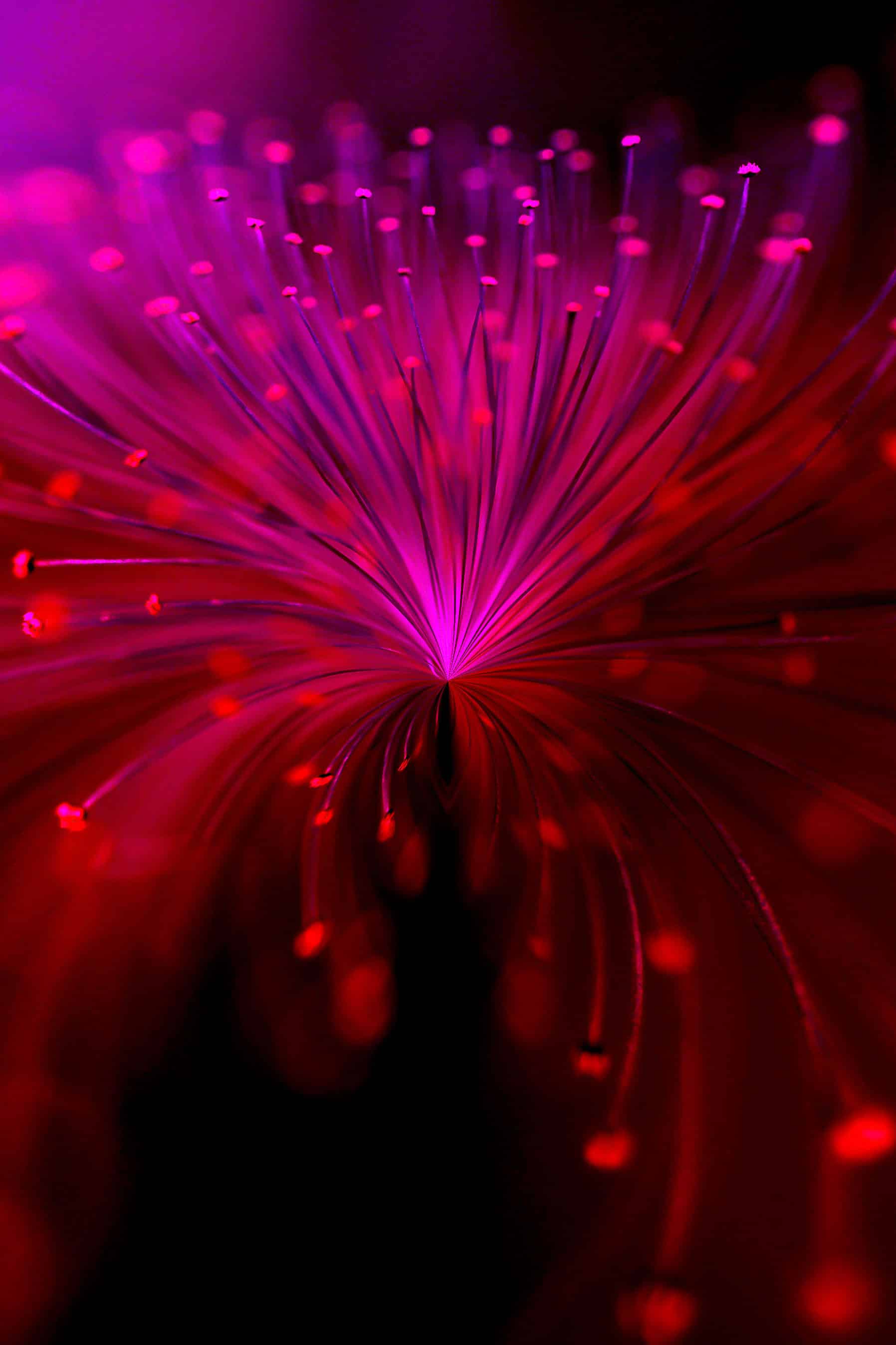 今日iPhone壁纸 026