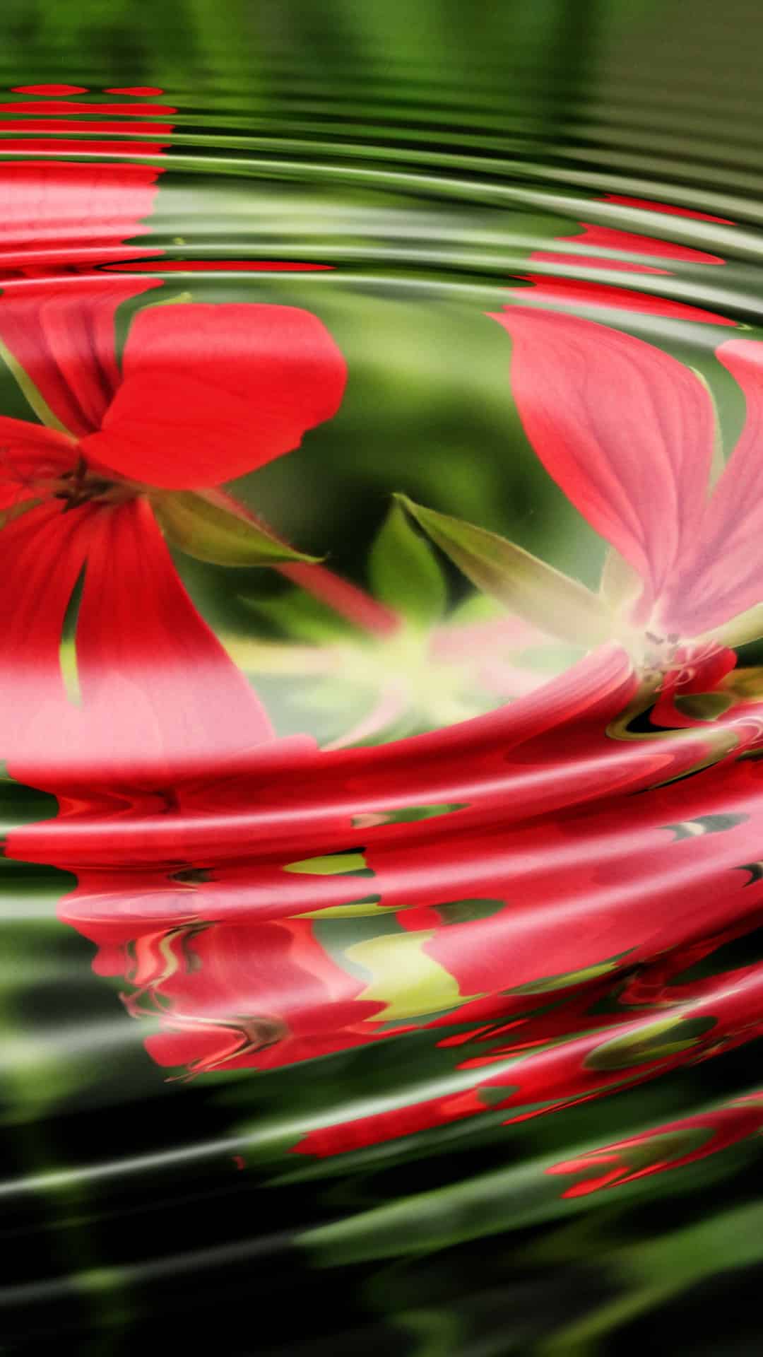 今日iPhone壁纸 027