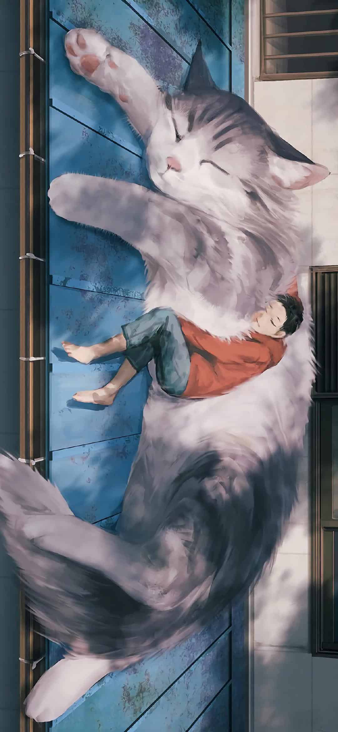 今日萌宠壁纸 001