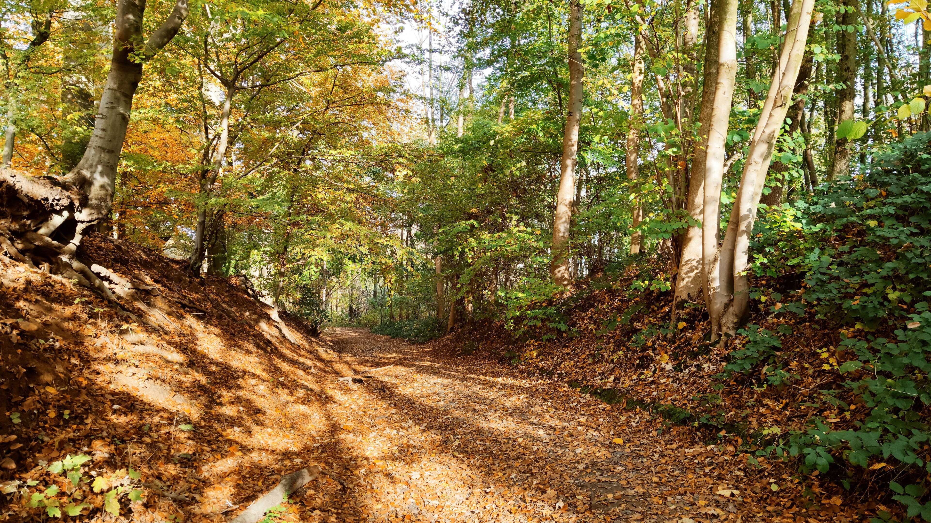 今日风景壁纸 001