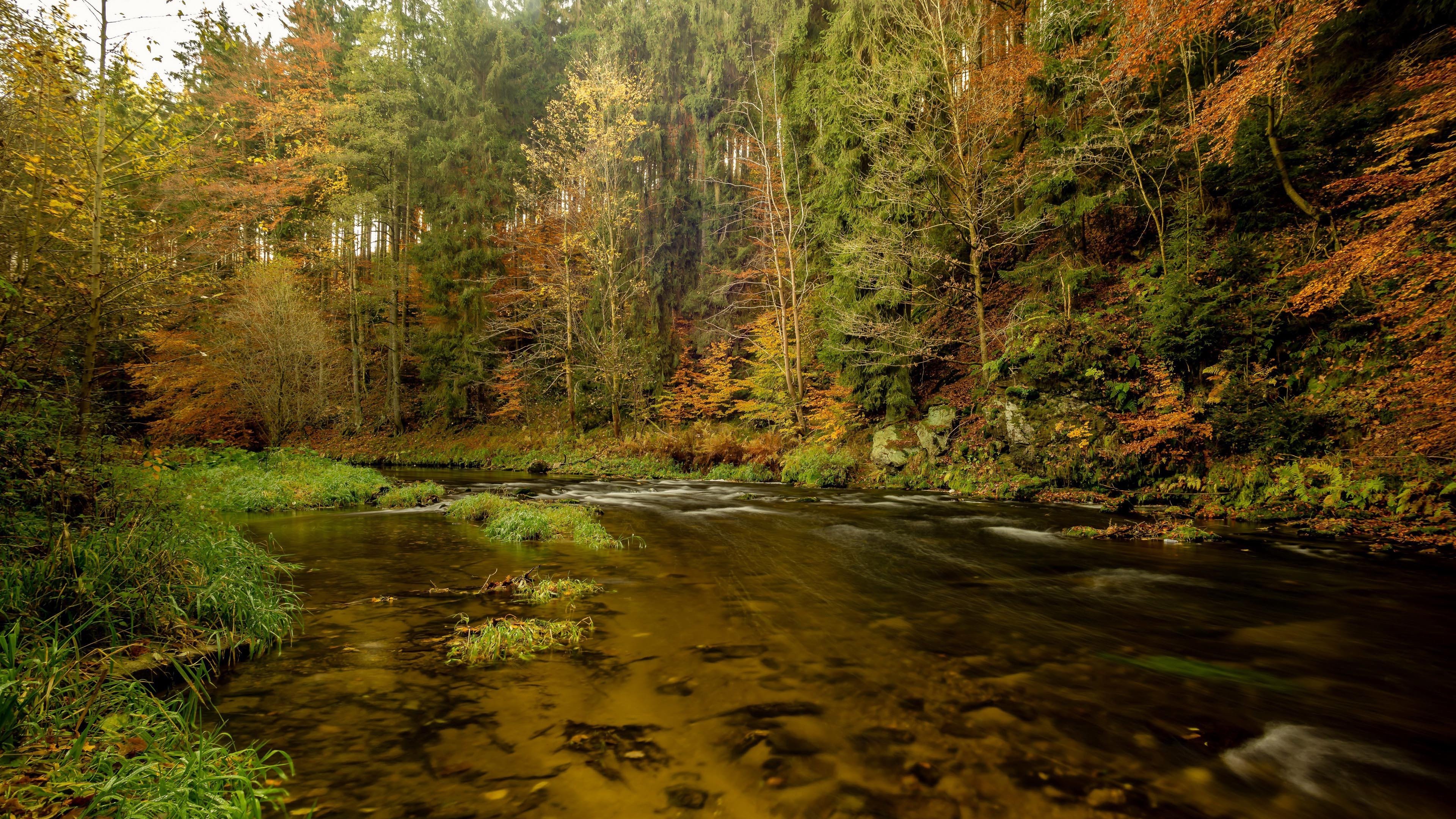 今日风景壁纸 002
