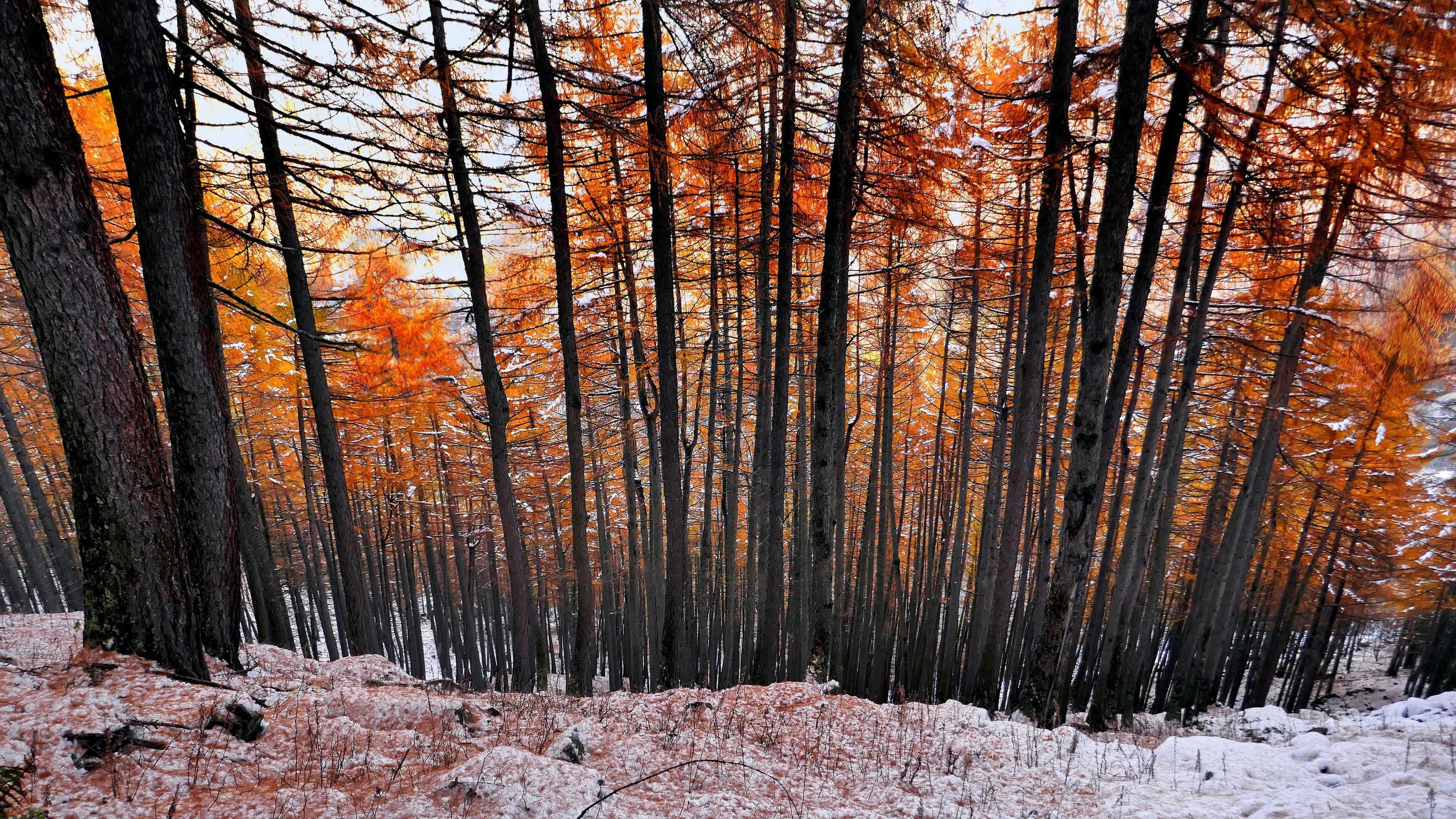 今日风景壁纸 004