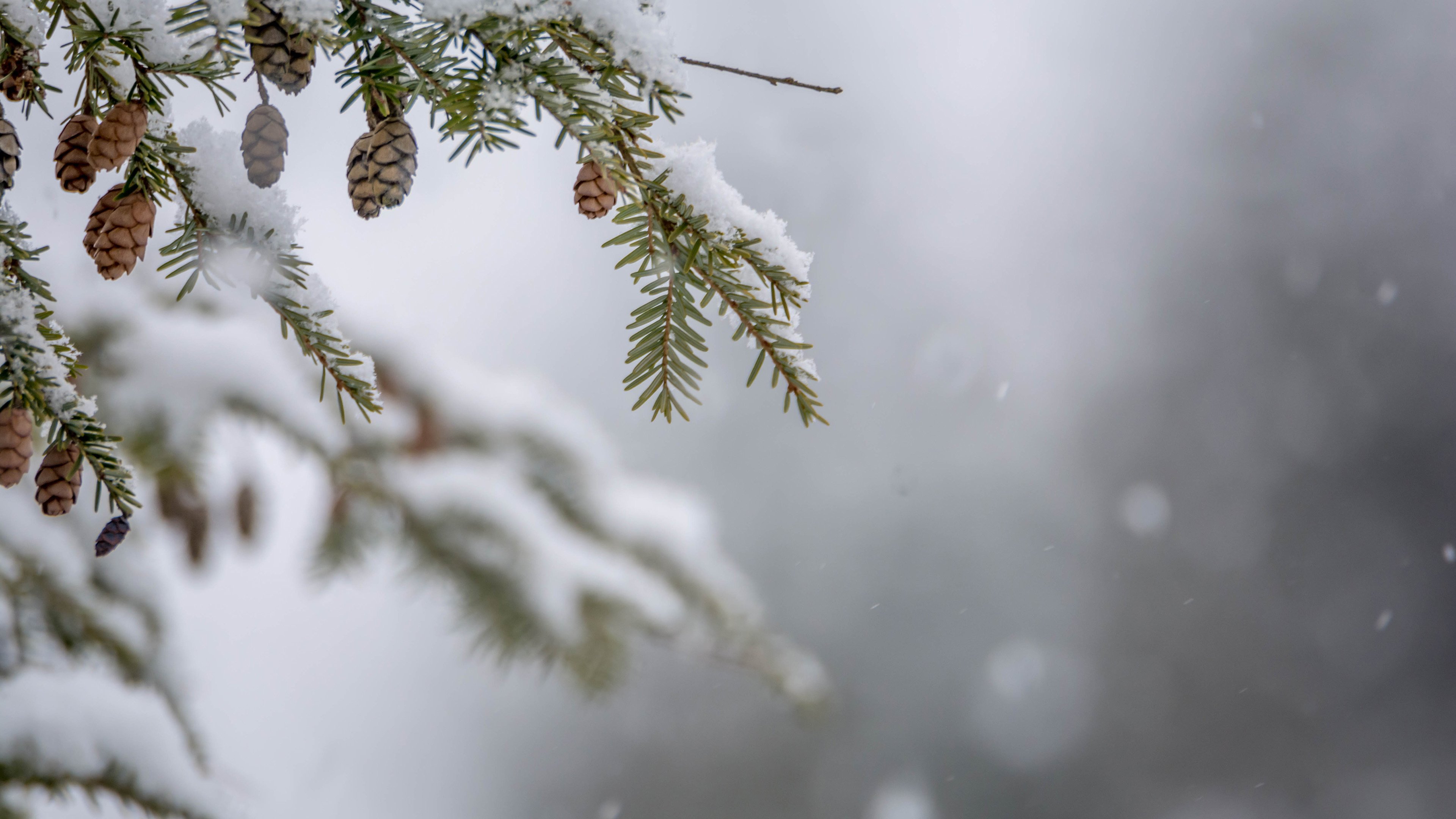 今日风景壁纸 004