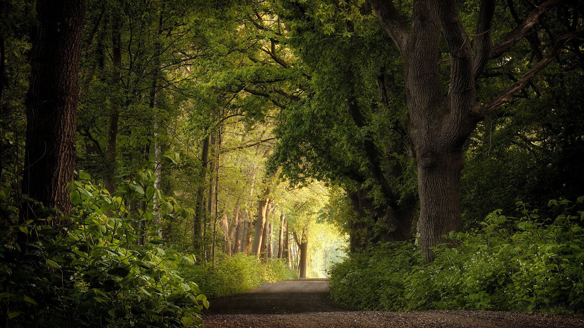今日风景壁纸 004