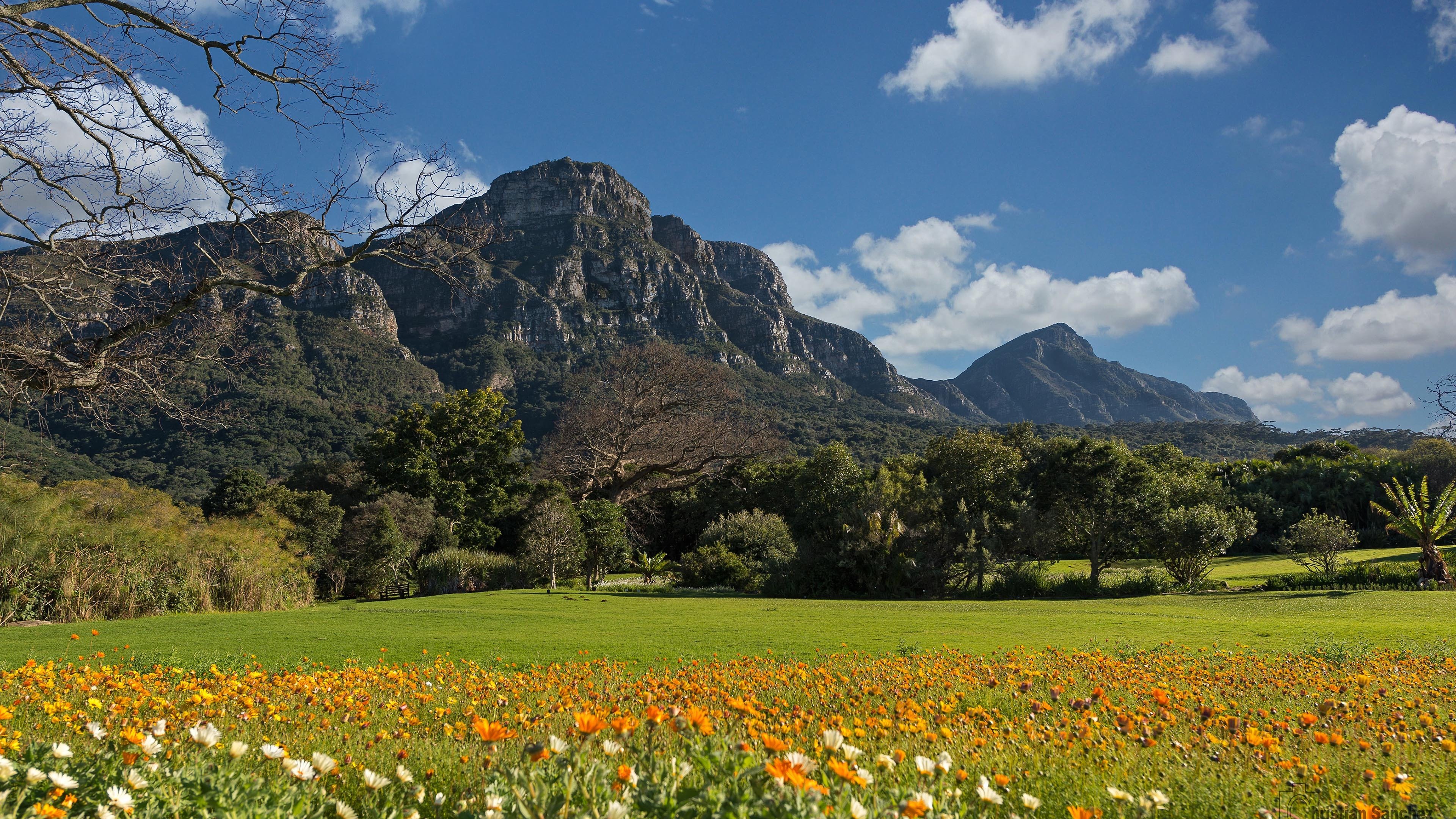 今日风景壁纸 004