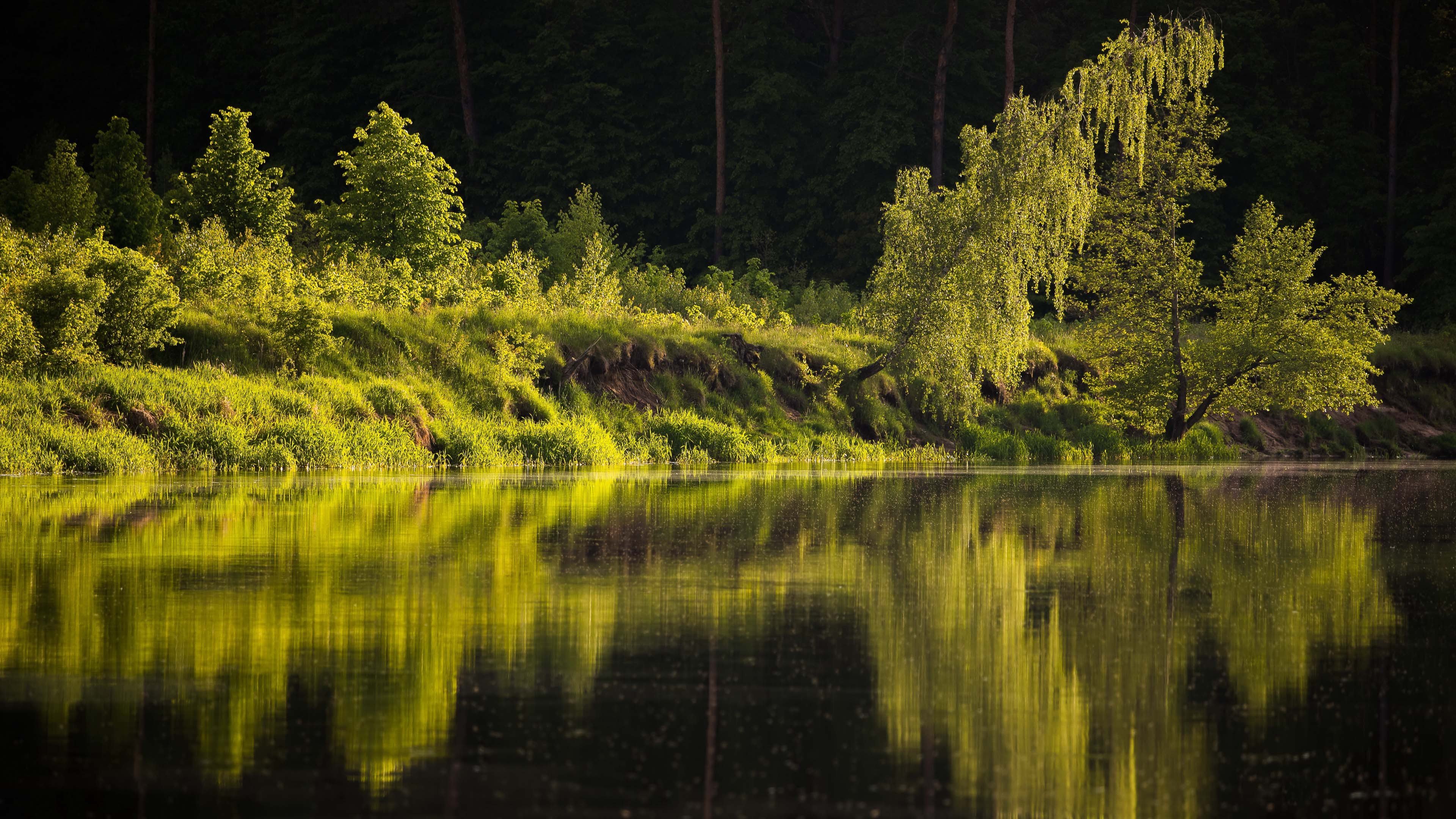 今日风景壁纸 005