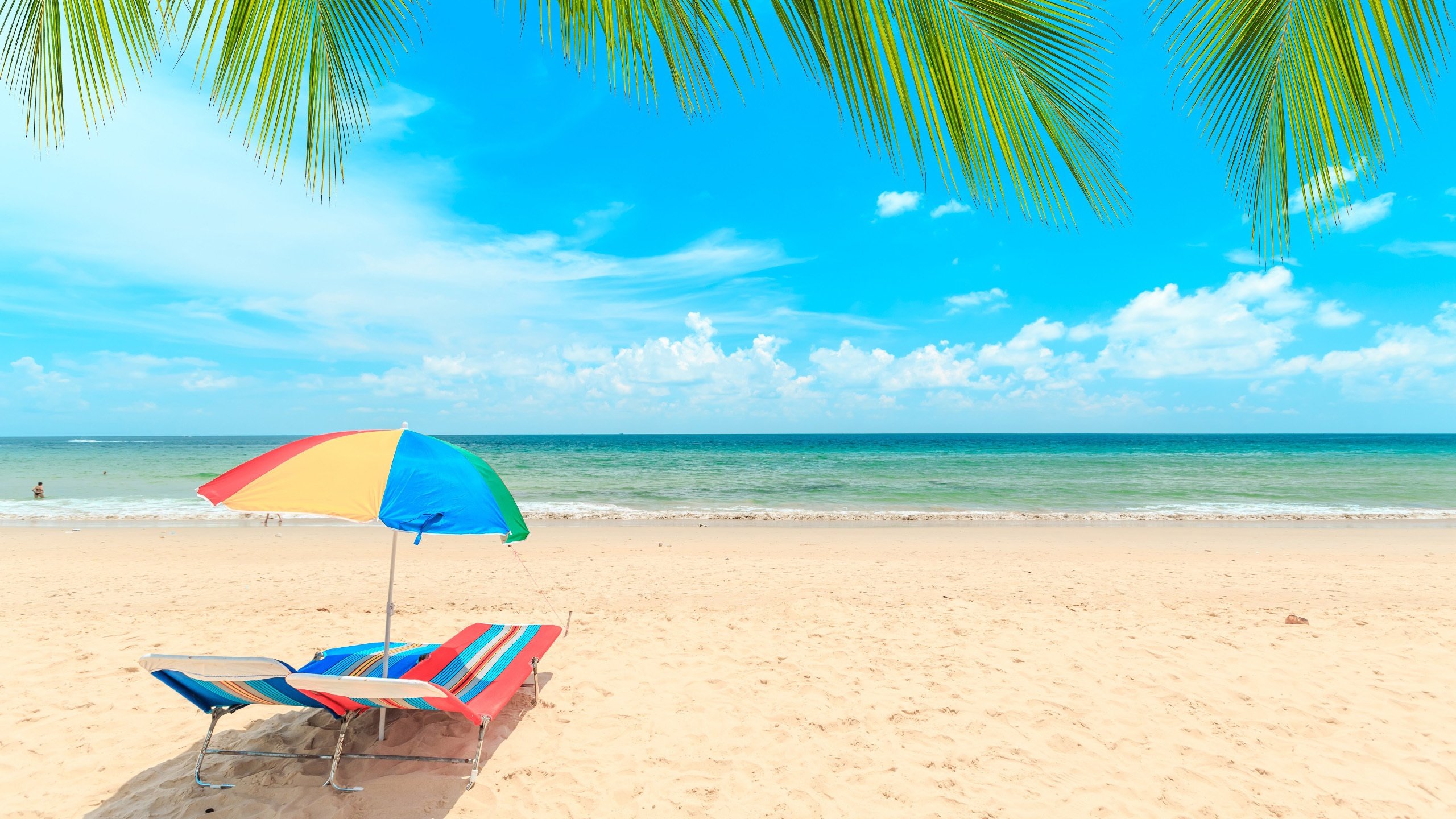 今日风景壁纸 006