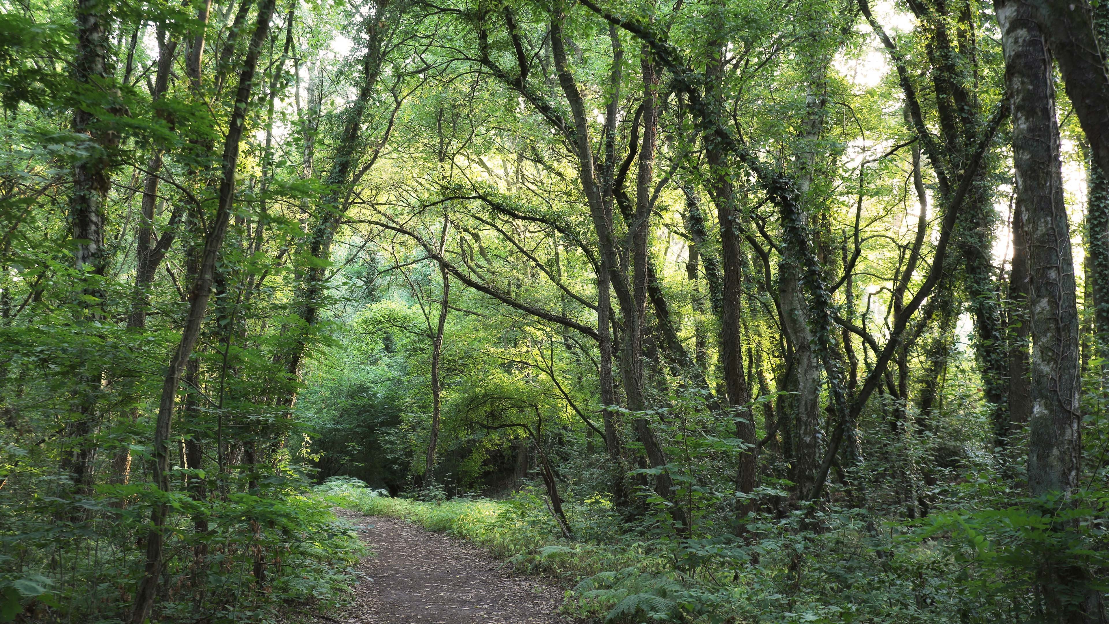 今日风景壁纸 006