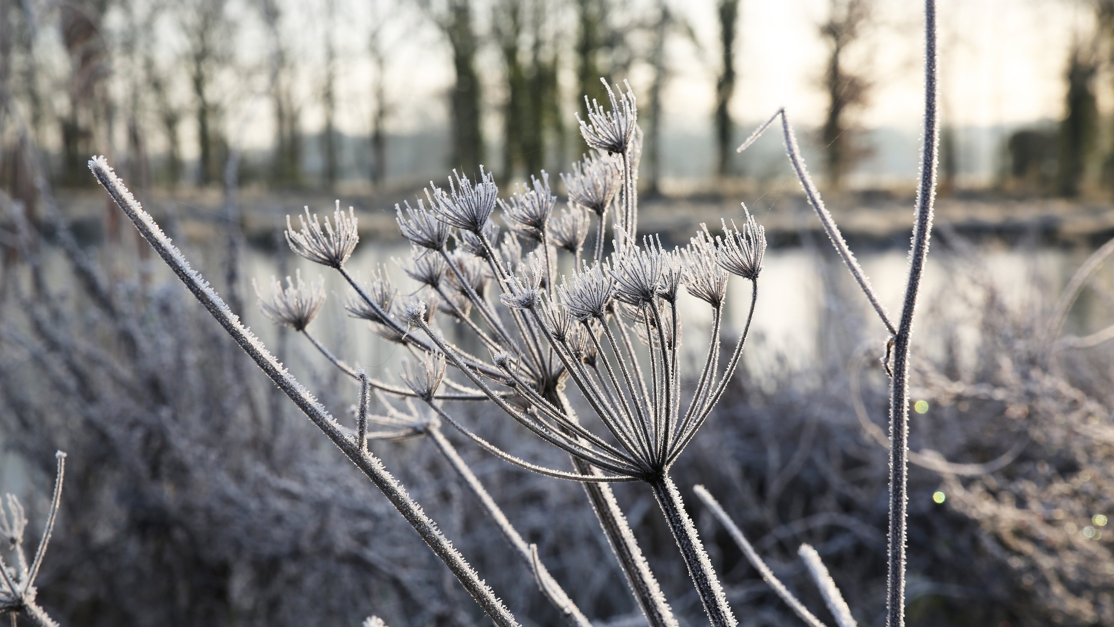 今日风景壁纸 009