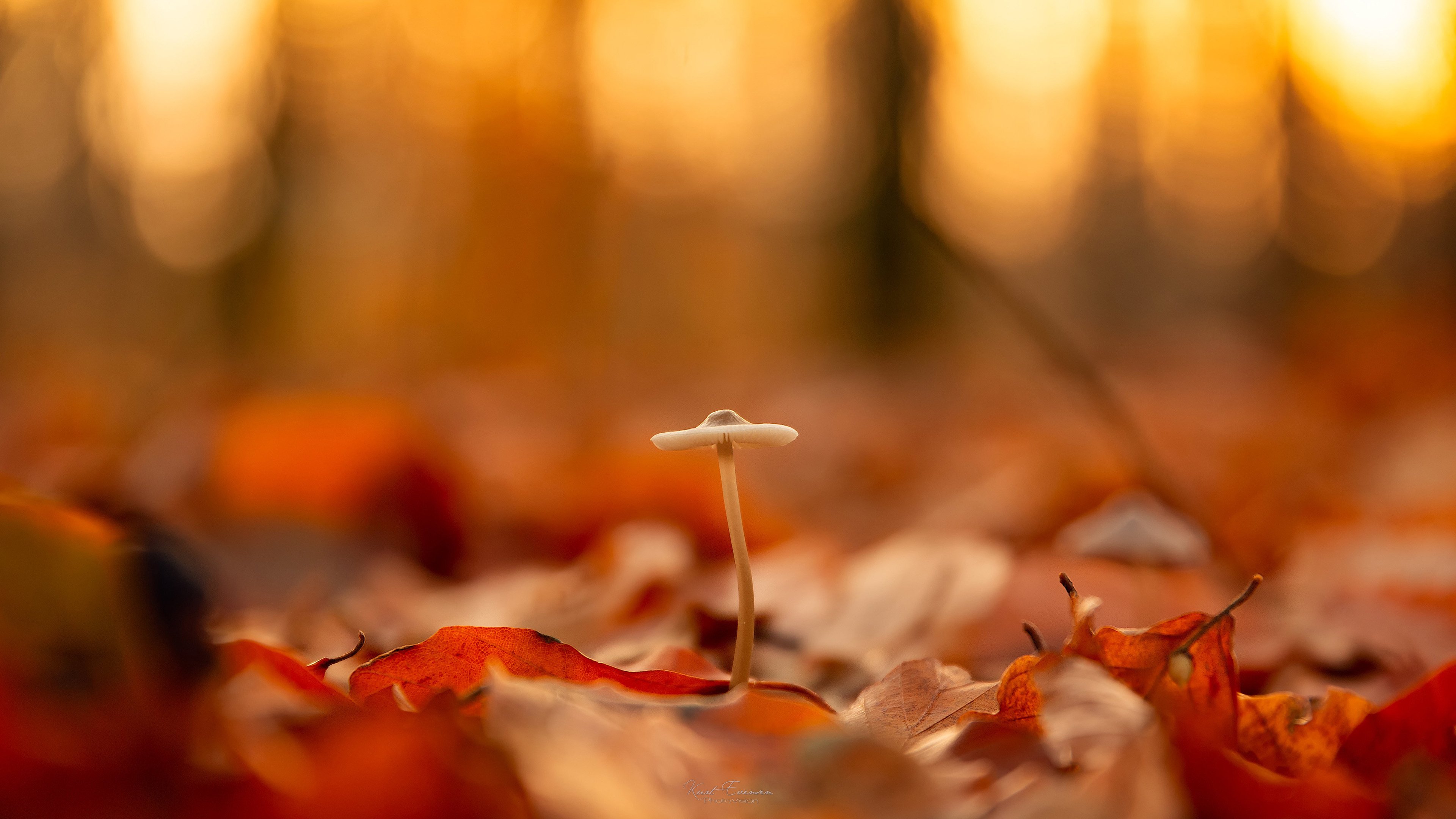 今日风景壁纸 010