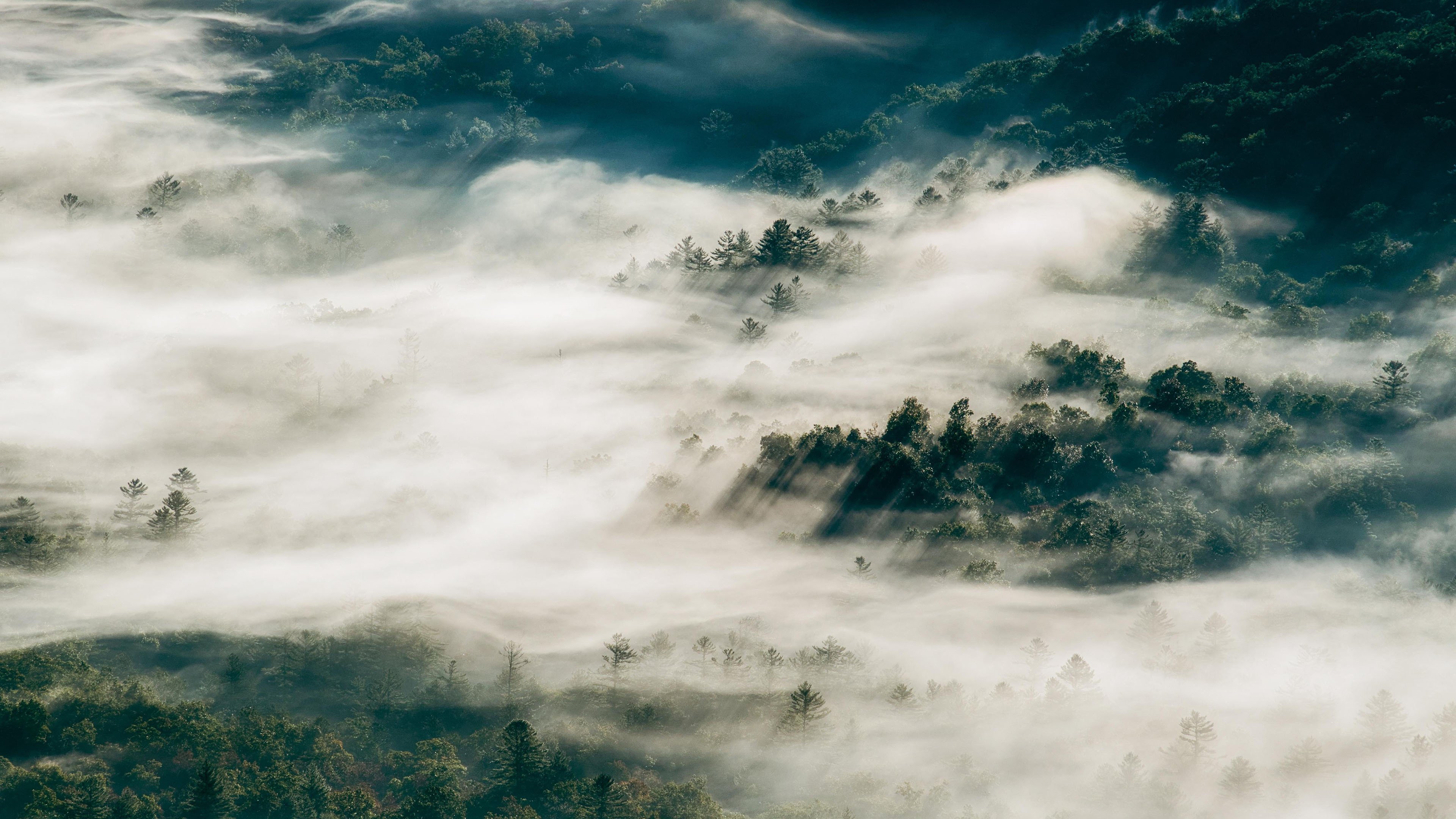 今日风景壁纸 010