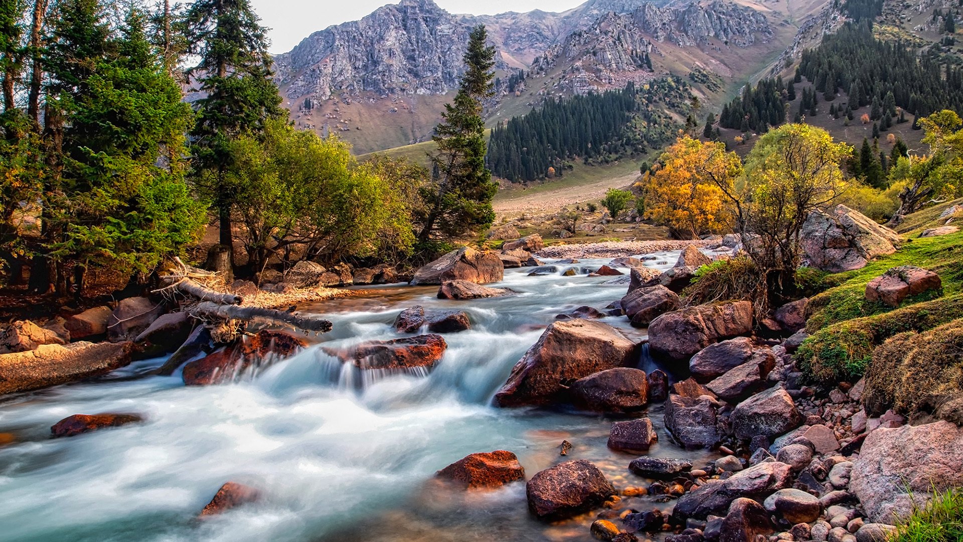今日风景壁纸 011