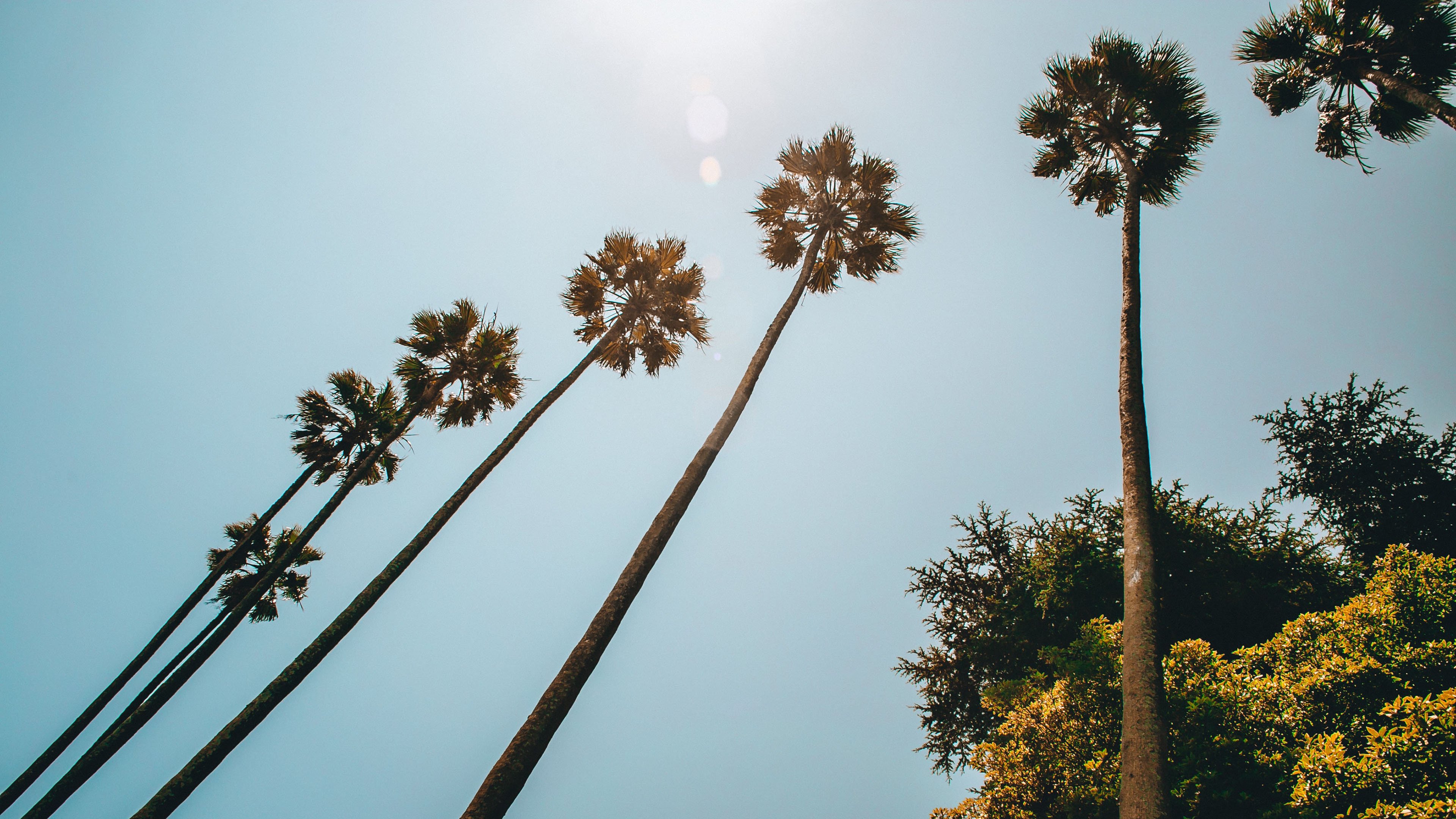 今日风景壁纸 011