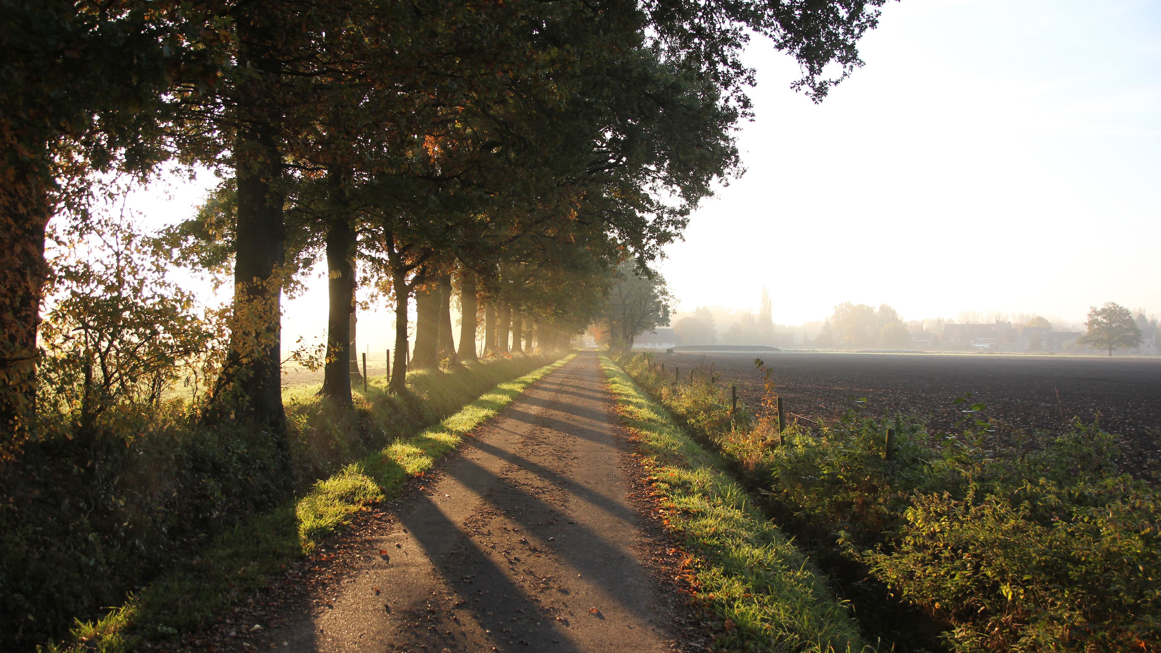今日风景壁纸 012