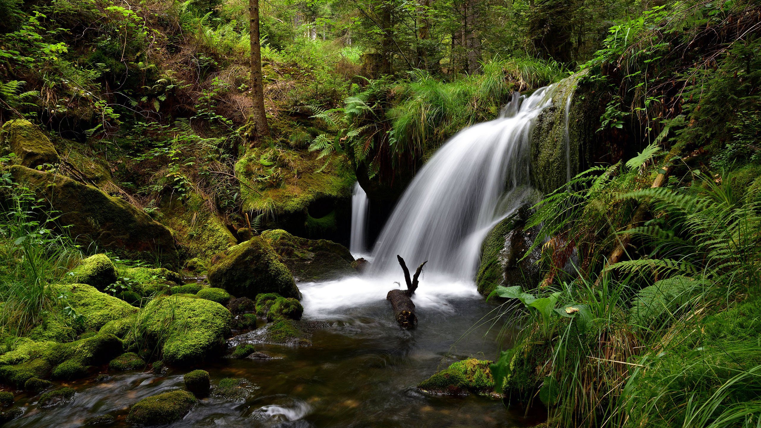 今日风景壁纸 012