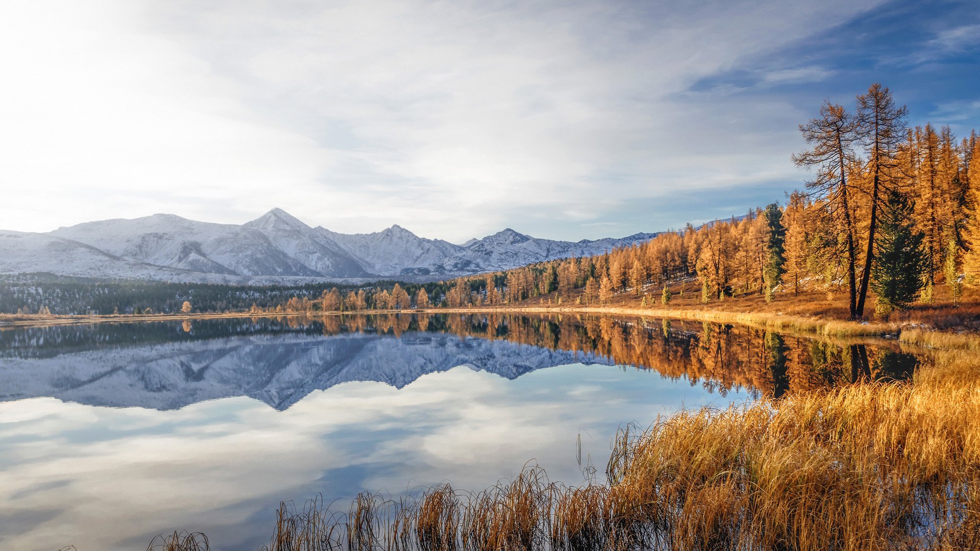 今日风景壁纸 013