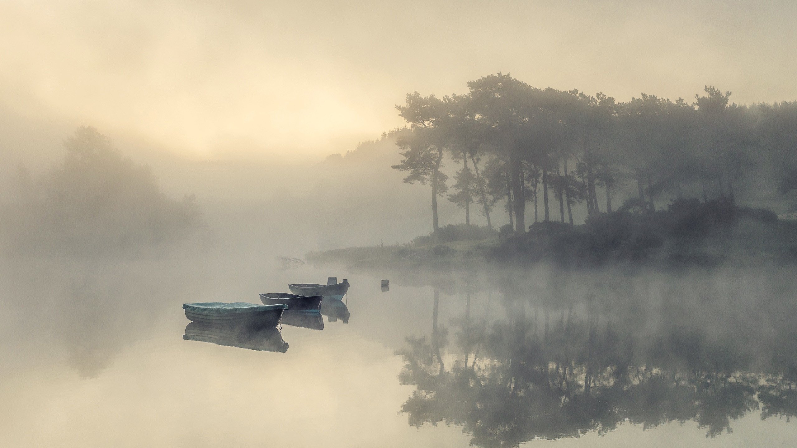 今日风景壁纸 014