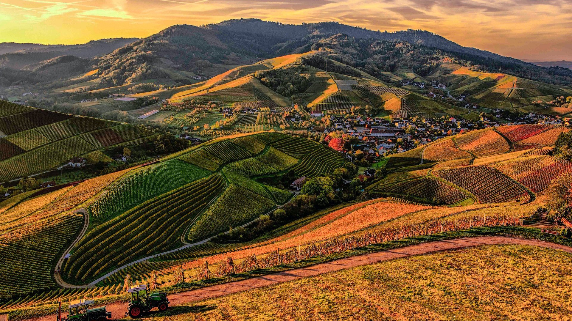 今日风景壁纸 014