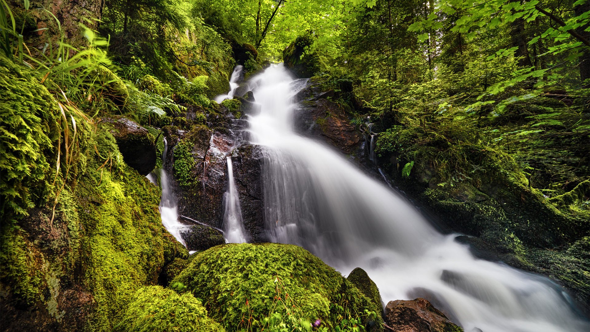今日风景壁纸 014